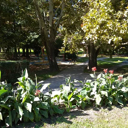 Διαμέρισμα 5 *