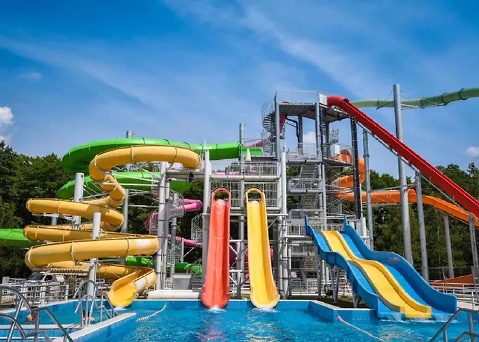 5 * زلاكاروس